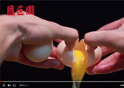 汇巨园品牌宣传片
